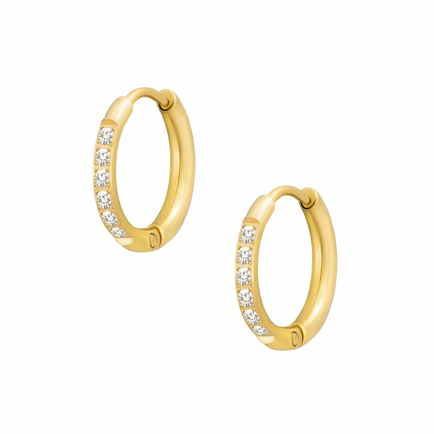 Caterina Hoop Earrings