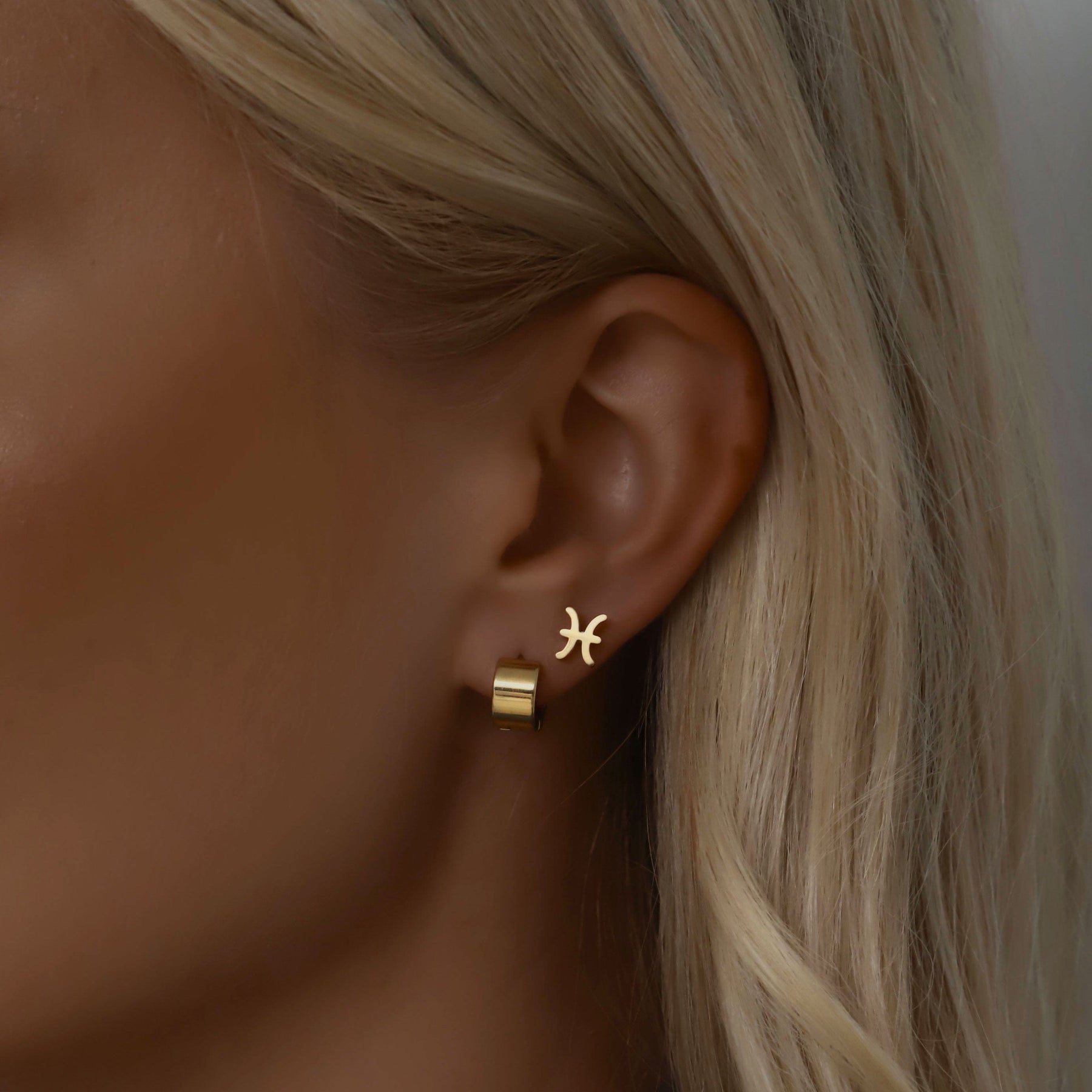 Fate Zodiac Stud Earrings