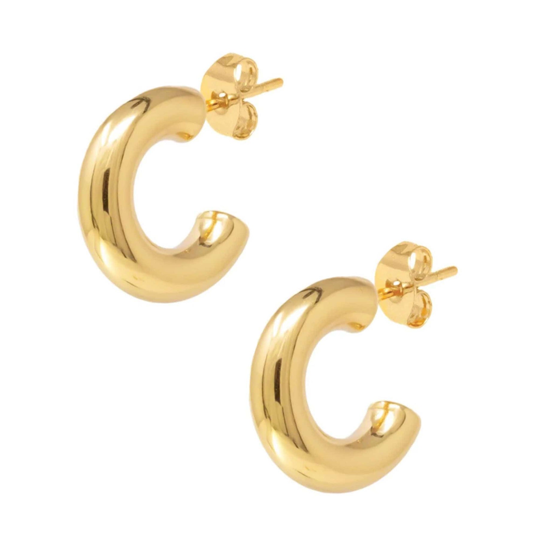 Regina Hoop Earrings