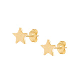 Starlight Stud Earrings