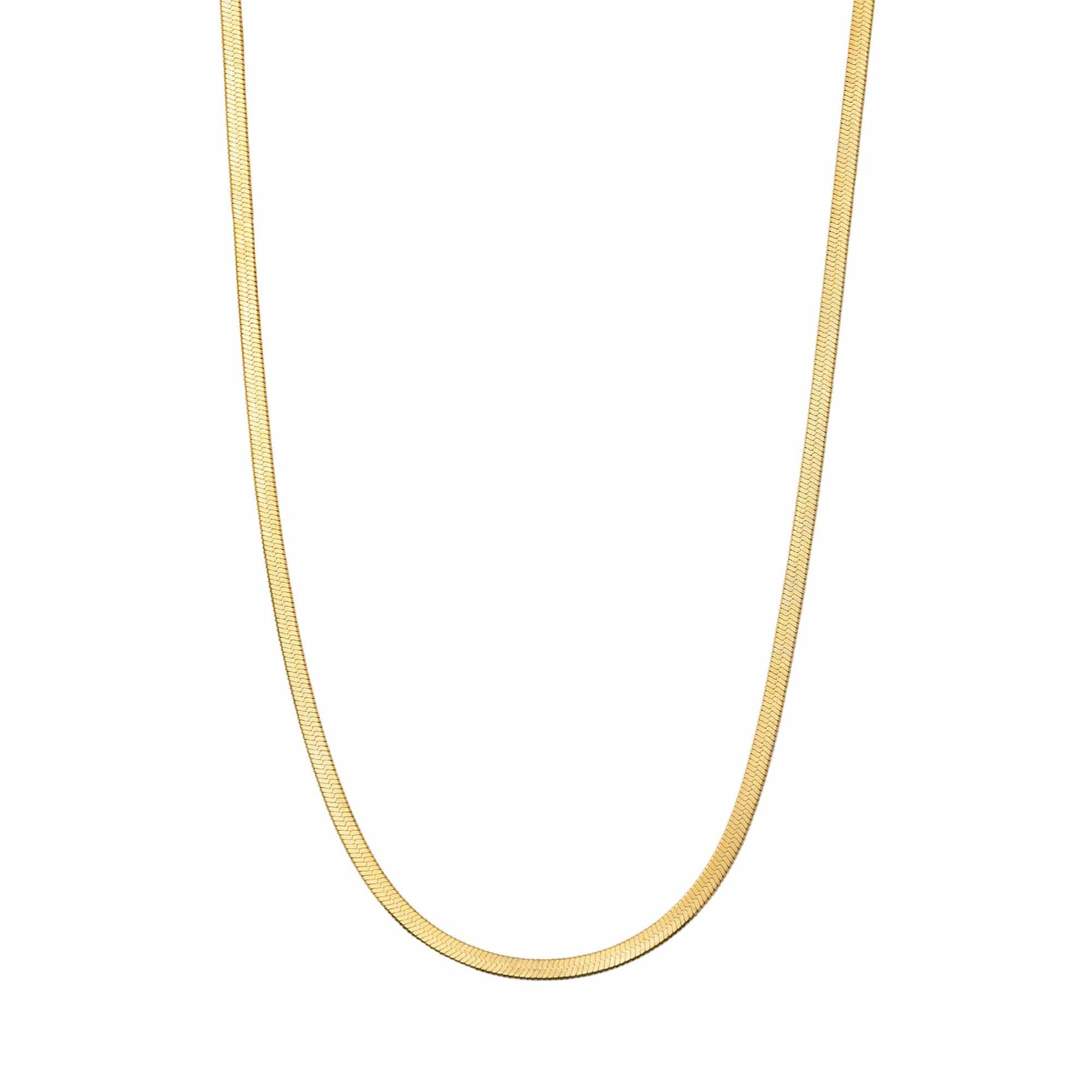 Stephanie Dainty Necklace