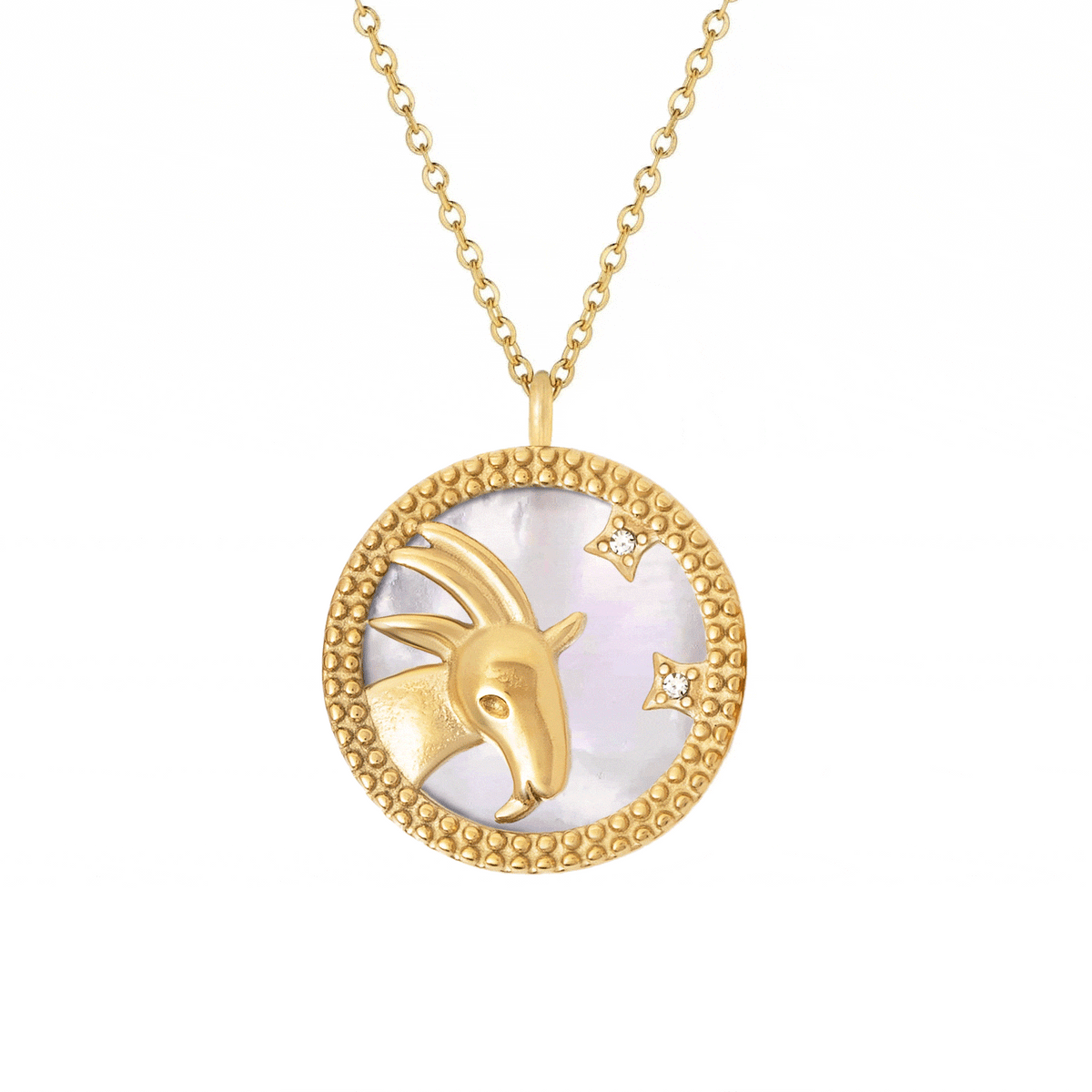 Symbolic Zodiac Necklace