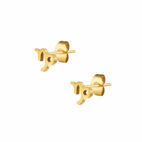 Fate Zodiac Stud Earrings