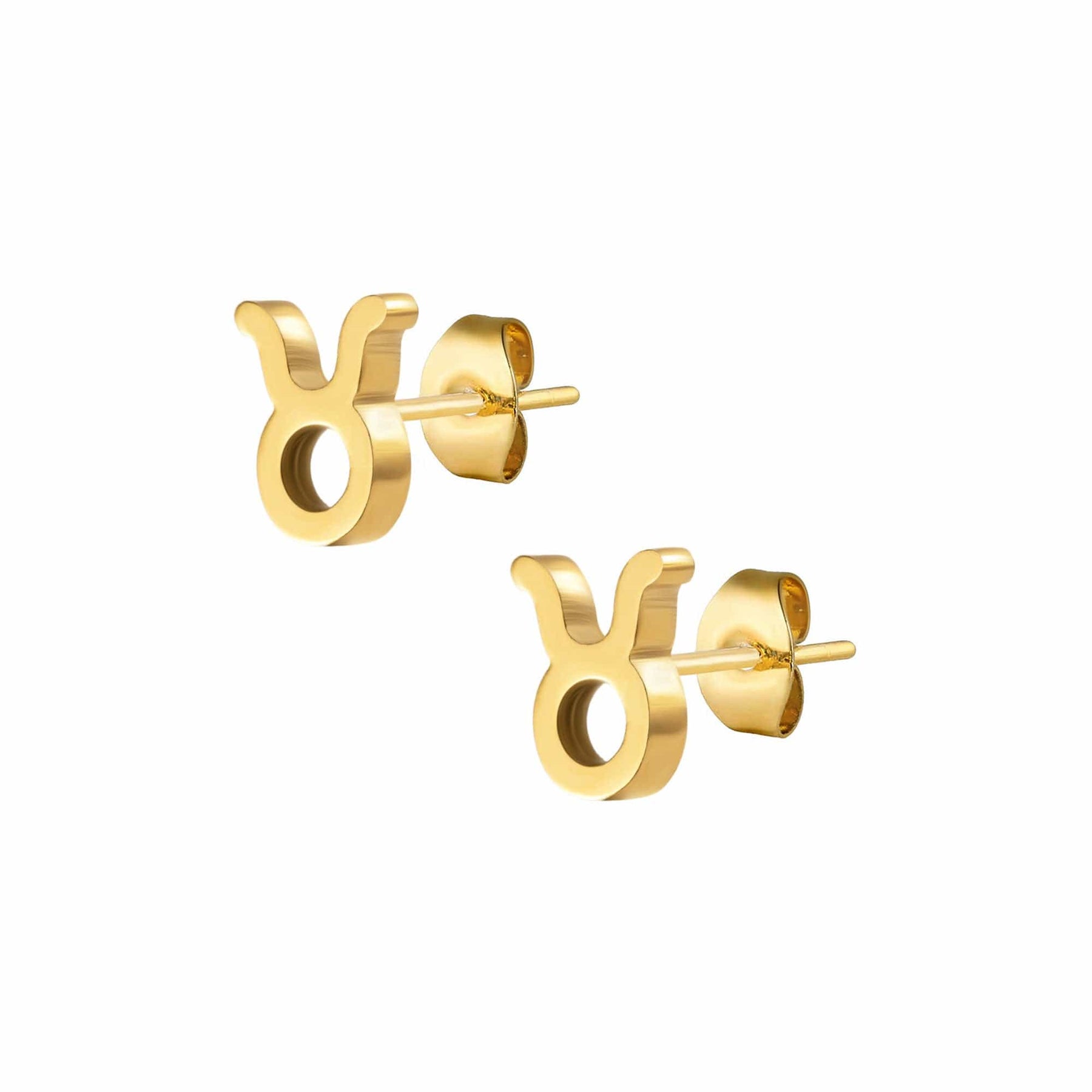 Fate Zodiac Stud Earrings